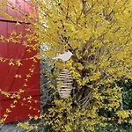 Jolie Maison En Pierres Avec Son Jardin Bucolique * Hardanges