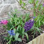 Jolie Maison En Pierres Avec Son Jardin Bucolique Prázdninový dům *