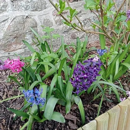 Jolie Maison En Pierres Avec Son Jardin Bucolique Hébergement de vacances *